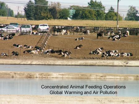 Concentrated Animal Feeding Operations Global Warming and Air Pollution.