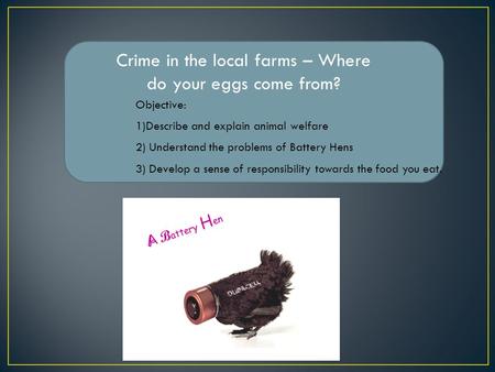 Crime in the local farms – Where do your eggs come from? Objective: 1)Describe and explain animal welfare 2) Understand the problems of Battery Hens 3)