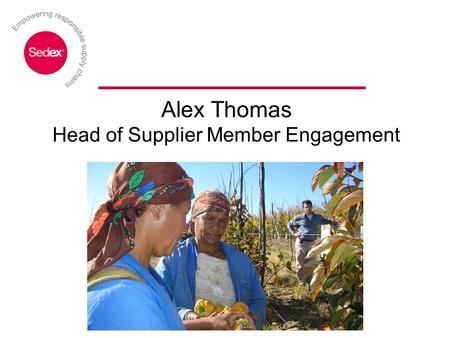 Alex Thomas Head of Supplier Member Engagement. Sedex is the supplier of choice for responsible supply chain management Through supporting our members.