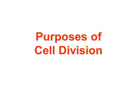 Purposes of Cell Division