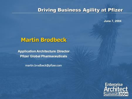 Driving Business Agility at Pfizer Martin Brodbeck Application Architecture Director Pfizer Global Pharmaceuticals June 7, 2004.