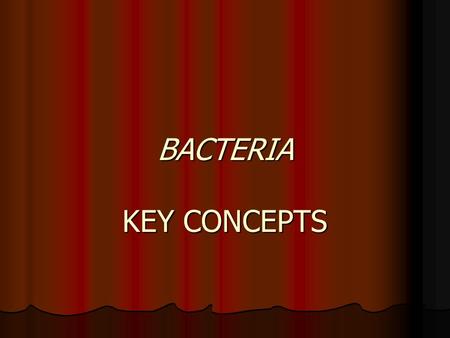 BACTERIA KEY CONCEPTS.