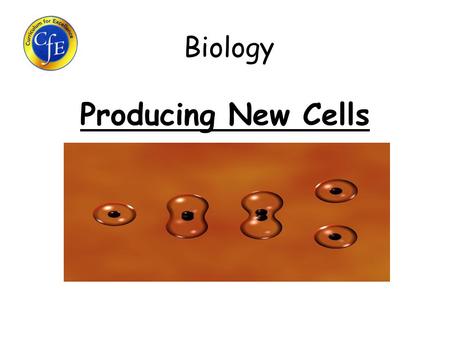 Biology Producing New Cells. Learning Intentions 1.Why do cells need to make new copies of themselves? 2.What is found inside the nucleus? 3.What are.