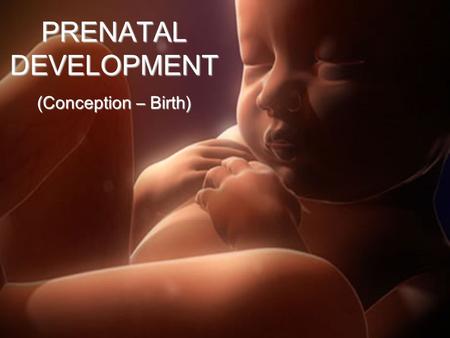 PRENATAL DEVELOPMENT (Conception – Birth). CONCEPTION.