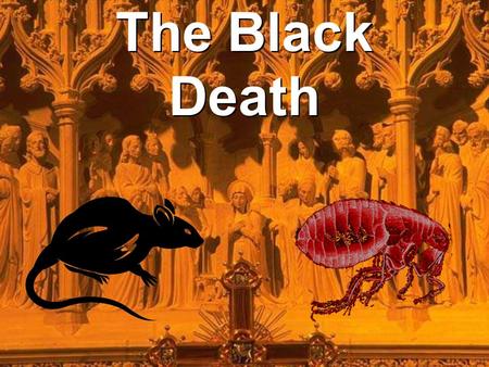 The Black Death. Key questions There are 3 questions that will be asked during the course of the lesson; 1.What is the “Black Death”? 2.What caused the.