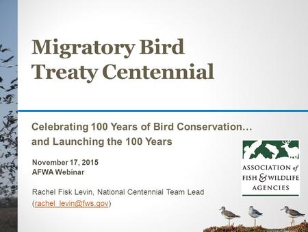 Migratory Bird Treaty Centennial Celebrating 100 Years of Bird Conservation… and Launching the 100 Years November 17, 2015 AFWA Webinar Rachel Fisk Levin,