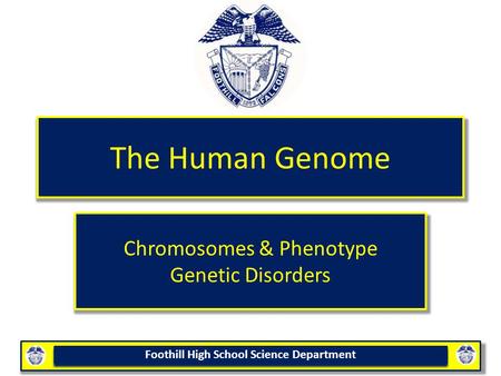 Chromosomes & Phenotype Genetic Disorders