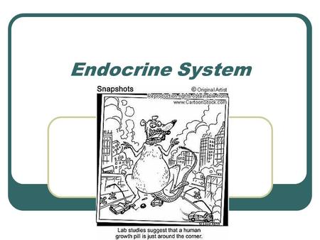 Endocrine System.