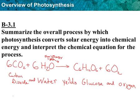 Overview of Photosynthesis B-3.1 Summarize the overall process by which photosynthesis converts solar energy into chemical energy and interpret the chemical.