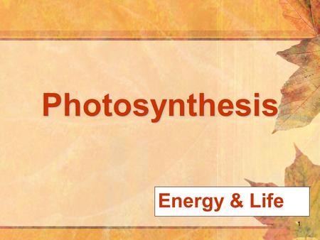 1 Photosynthesis Energy & Life. 2 Overview of Photosynthesis copyright cmassengale.