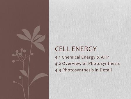 4.1 Chemical Energy & ATP 4.2 Overview of Photosynthesis 4.3 Photosynthesis in Detail CELL ENERGY.