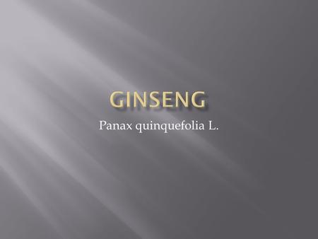 Panax quinquefolia L..  Kingdom- Plantae (plants)  Subkingdom-Travhebionta (Vascular)  Superdivision-Spermaphyta (seed)  Division-Magnoliophyta (flowering)