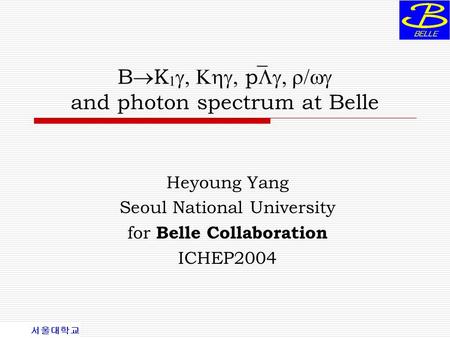 B  K   p  and photon spectrum at Belle Heyoung Yang Seoul National University for Belle Collaboration ICHEP2004.