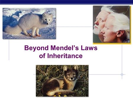 AP Biology 2006-2007 Beyond Mendel’s Laws of Inheritance.