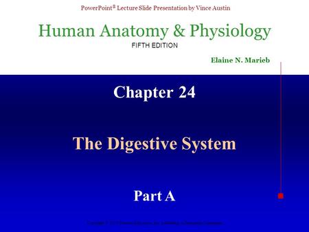 Chapter 24 The Digestive System Part A.