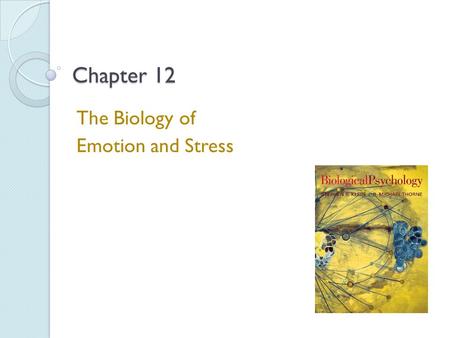 The Biology of Emotion and Stress