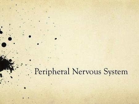 Peripheral Nervous System. Homework Study for Jeopardy tomorrow!