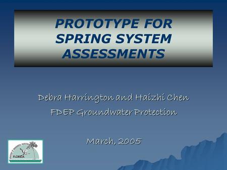 Debra Harrington and Haizhi Chen FDEP Groundwater Protection March, 2005 PROTOTYPE FOR SPRING SYSTEM ASSESSMENTS.