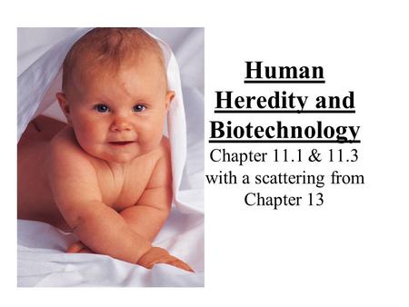 Human Heredity and Biotechnology Chapter 11.1 & 11.3 with a scattering from Chapter 13.