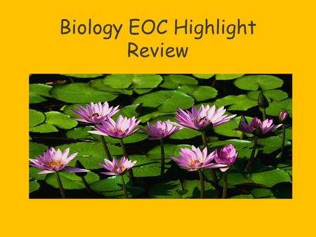 Biology EOC Highlight Review. Organic Compounds All living things are made of organic compounds. Contain the element Carbon Carbohydrates, Proteins, Lipids,