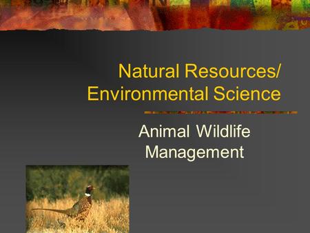 Natural Resources/ Environmental Science Animal Wildlife Management.