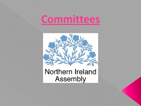 Committees. What is a committee? A group of around 11 MLA’s who are given a particular focus in the assembly. What is a committees role? Legislate: Pass.