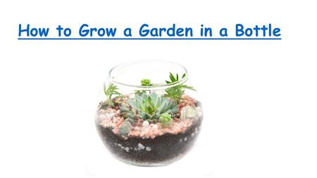 How to Grow a Garden in a Bottle. A bottle can be recycled to function as a miniature greenhouse.