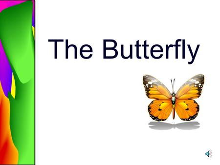 The Butterfly Life Cycle of the Butterfly Stage one is the Egg Stage two is the Caterpillar or larva Stage three is the Chrysalis or pupa Stage four.