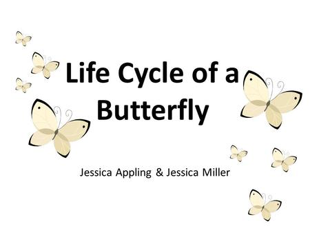 Life Cycle of a Butterfly Jessica Appling & Jessica Miller.