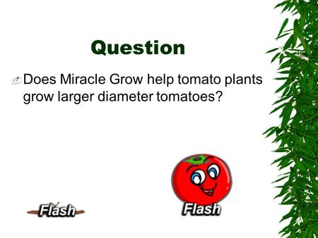 Question Does Miracle Grow help tomato plants grow larger diameter tomatoes?