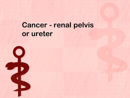 Cancer - renal pelvis or ureter. Overview Cancer of the renal pelvis or ureter is cancer that forms in the pelvis or the tube that carries urine from.