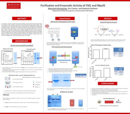 Purification and Enzymatic Activity of Cfd1 and Nbp35 Mierzhati Mushajiang, Eric Camire, and Deborah Perlstein Department of Chemistry, Boston University,