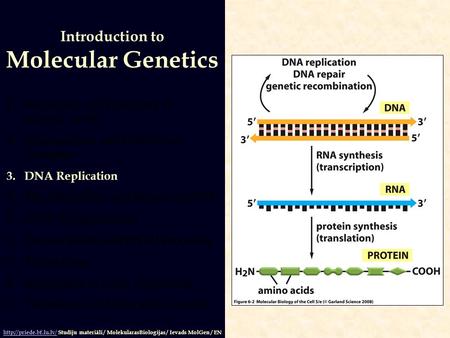 1.Structures and Functions of Nucleic Acids 2.Organization and Content of Genomes 3.DNA Replication 4.The Mutability and Repair of DNA 5.DNA Recombination.