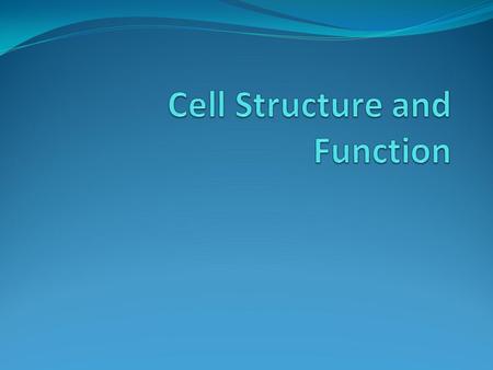 Cell Structure and Function