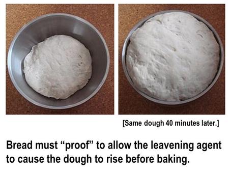 Bread must “proof” to allow the leavening agent to cause the dough to rise before baking. [Same dough 40 minutes later.]