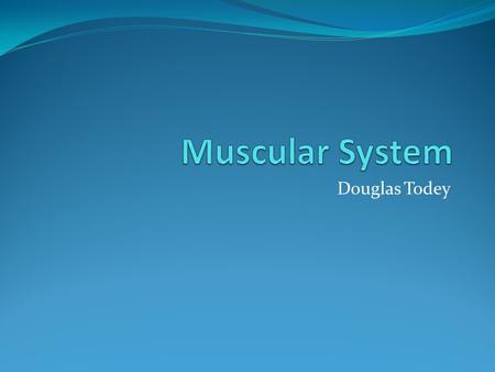 Douglas Todey. Functions The three main functions of the muscle system are to produce motion, provide stability, and generate heat The three different.