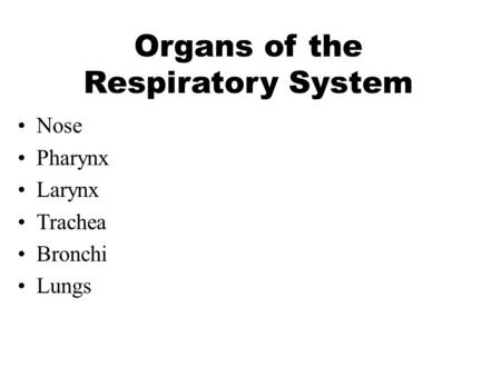 Organs of the Respiratory System