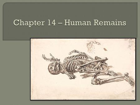 Learn how anthropologists use bones to determine whether remains are human; to determine the age, sex, and race of an individual; to estimate height;