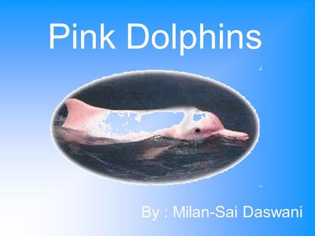 Pink Dolphins By : Milan-Sai Daswani. Where in Hong Kong do Pink Dolphins live? Dolphins in Hong Kong usually live everywhere. But there is one main place.