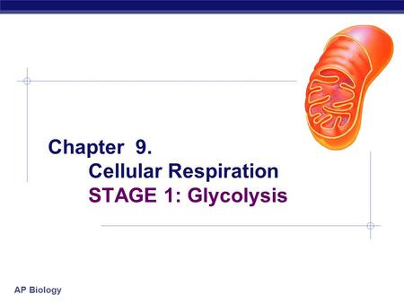 Chapter 9. Cellular Respiration STAGE 1: Glycolysis