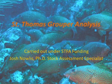 St. Thomas Grouper Analysis Carried out under STFA Funding Josh Nowlis, Ph.D. Stock Assessment Specialist.