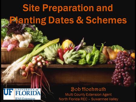 Bob Hochmuth Multi County Extension Agent North Florida REC – Suwannee Valley.