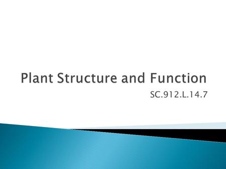 SC.912.L.14.7.  Do plants have organs and tissues like animals?  What are they?