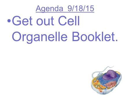 Agenda 9/18/15 Get out Cell Organelle Booklet.. Chemical level: a molecule in the membrane that encloses a cell Cellular level: a cell in the stomach.