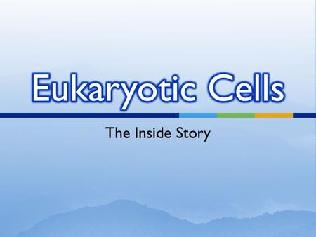 The Inside Story. Prokaryotic Cells No nucleus No membrane- covered organelles Circular DNA Bacteria Eukaryotic Cells Nucleus Membrane - covered organelles.