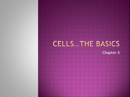 Chapter 6.  Prokaryote  Cells with no nucleus nucleoid  Simple and small  Bacteria  Eukaryote  Cells with many organelles  Large and complex 