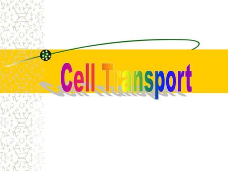 Cell Membrane Structure Lipid bi-layer Proteins imbedded as channels for transfers.