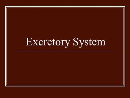 Excretory System. Functions The job of the excretory system is to rid the body of waste that result from metabolism. These are NOT the same wastes that.