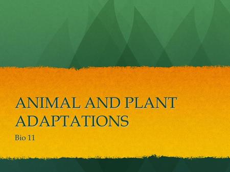 ANIMAL AND PLANT ADAPTATIONS Bio 11. TYPES OF ADAPTATIONS MORPHOLOGICAL – structural adaptations – such as teeth, jaws, claws, legs, body coverings, etc.