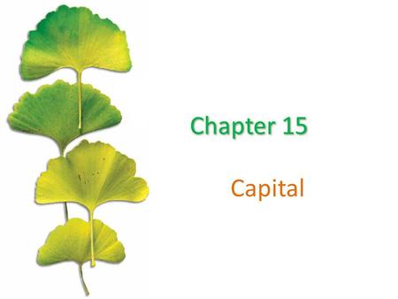 Capital. Chapter Outline ©2015 McGraw-Hill Education. All Rights Reserved. 2 Financial Capital And Real Capital The Demand For Real Capital The Relationship.